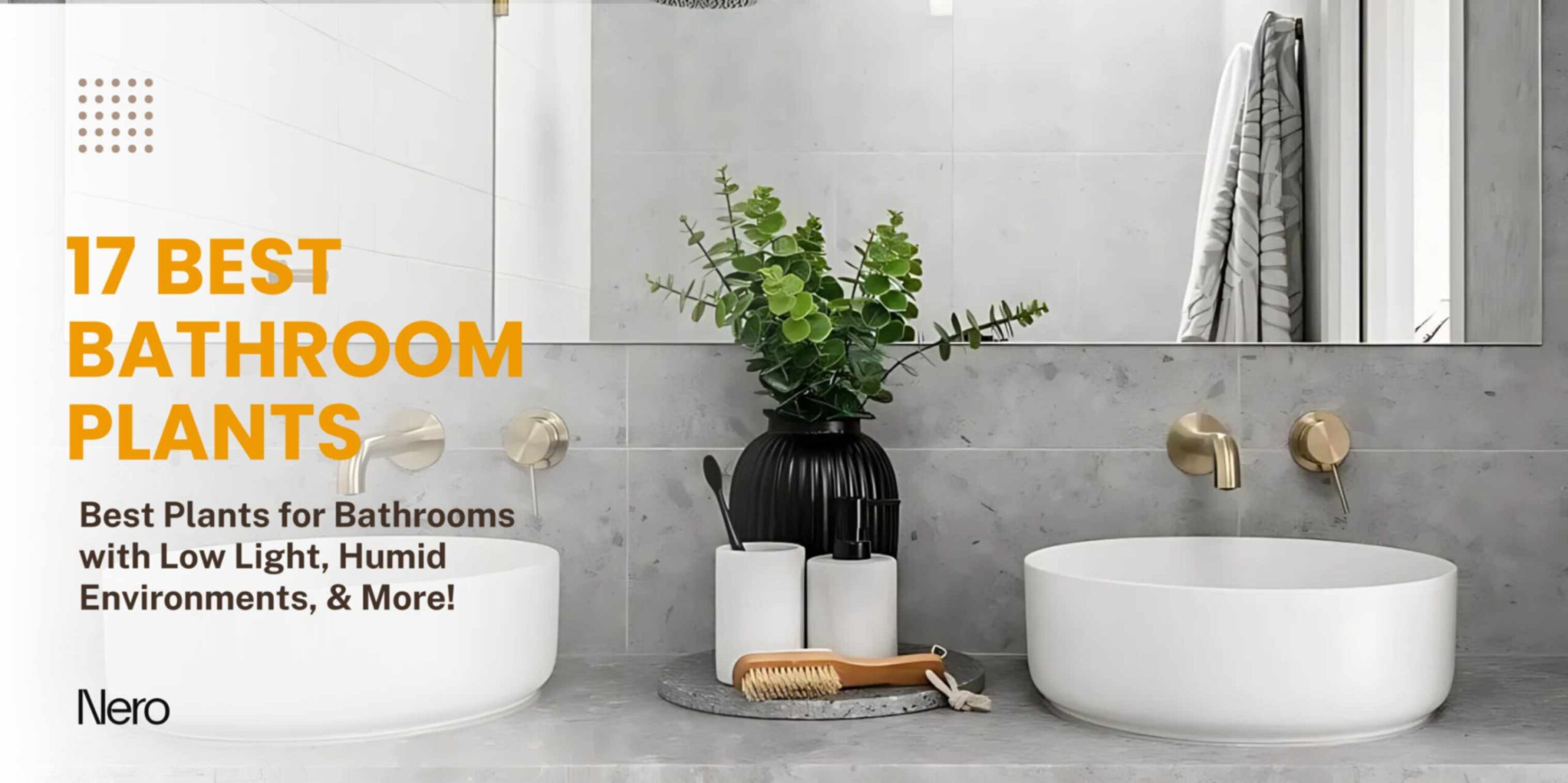 best bathroom plants for humid environments, no light or low light, windowless, small, and large bathrooms