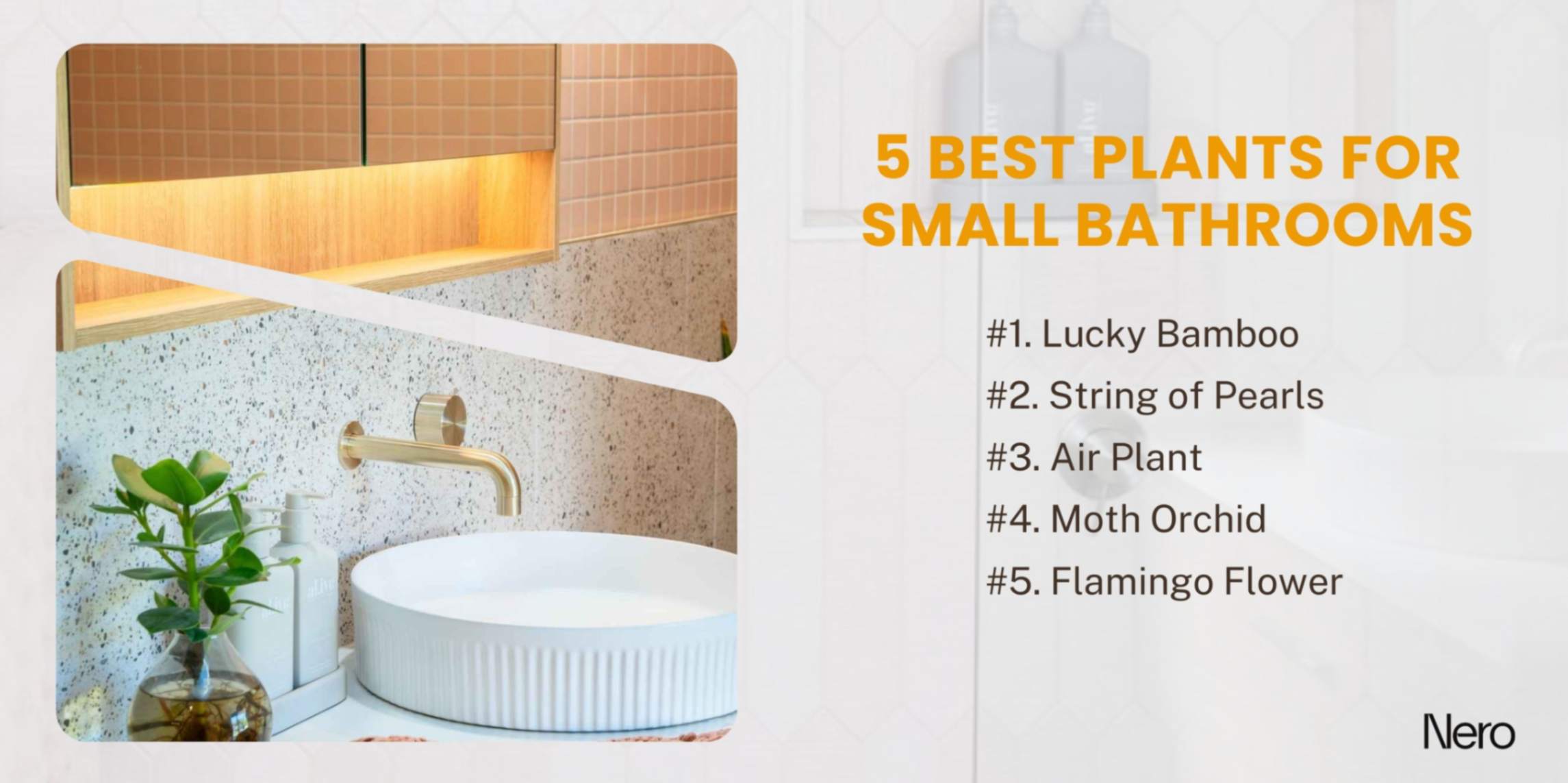 best plants for small bathrooms